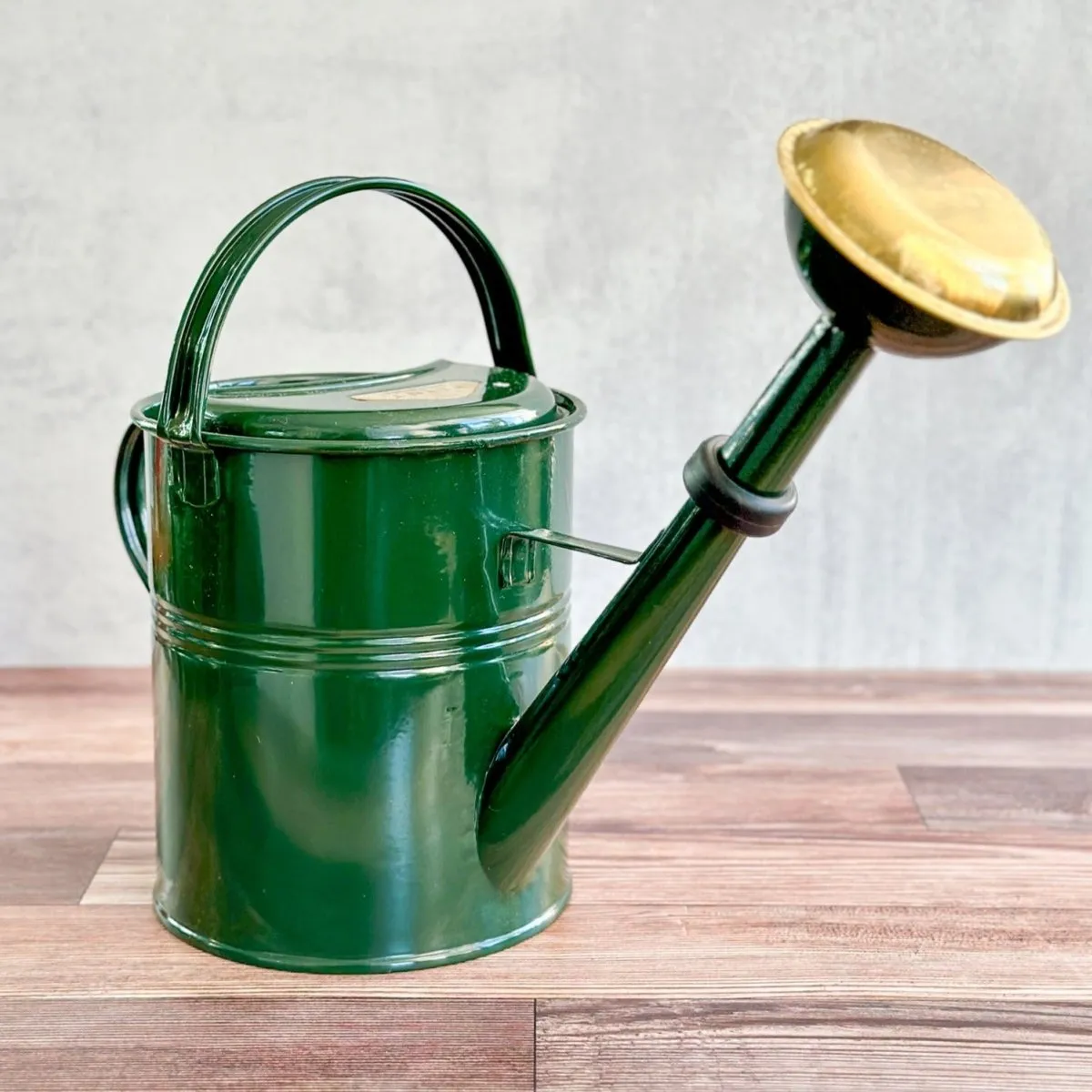 9 Liter- PLINT Watering Can with Removable Sprinkler Head