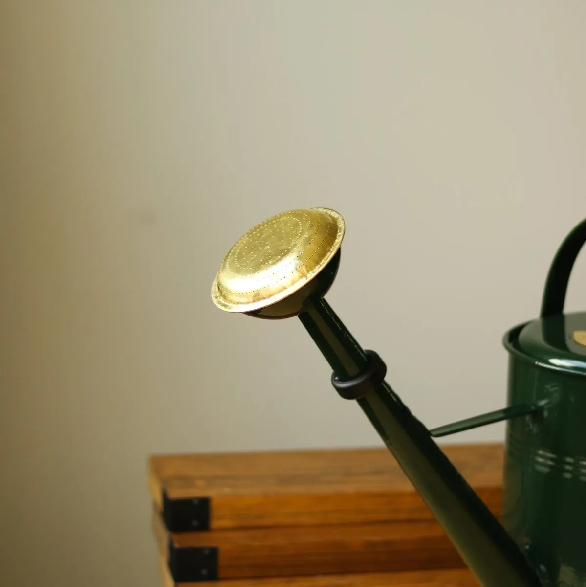 9 Liter- PLINT Watering Can with Removable Sprinkler Head