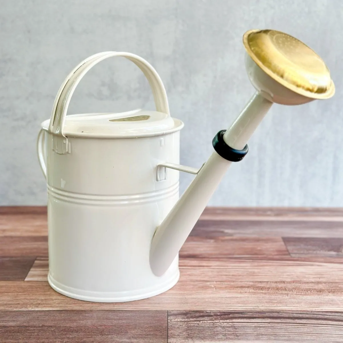 9 Liter- PLINT Watering Can with Removable Sprinkler Head