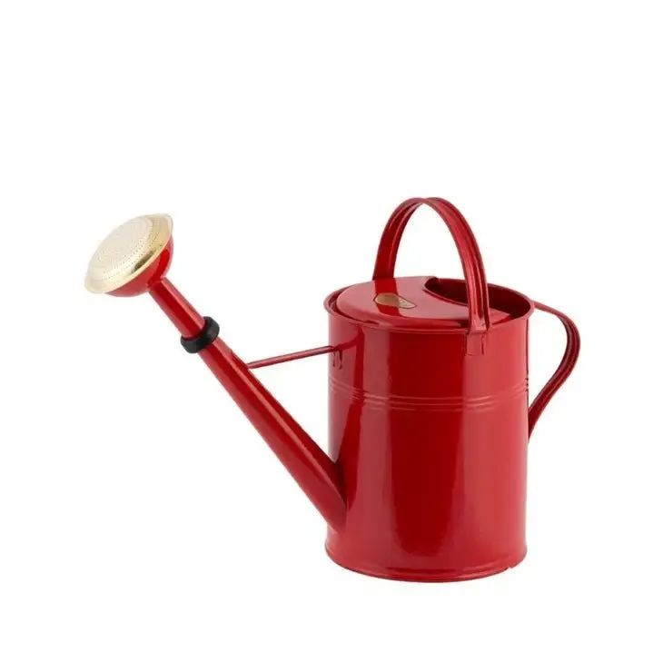 9 Liter- PLINT Watering Can with Removable Sprinkler Head