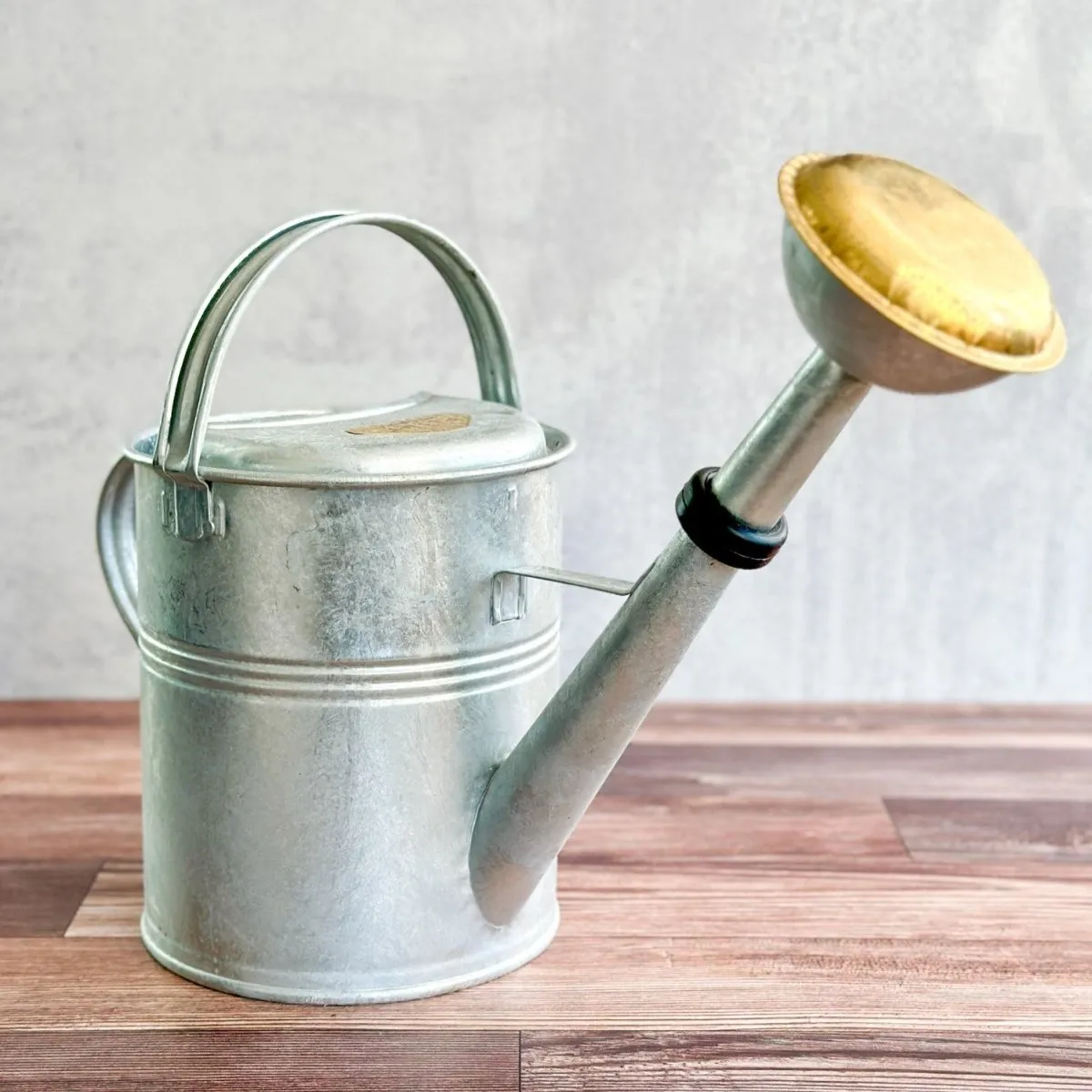 9 Liter- PLINT Watering Can with Removable Sprinkler Head