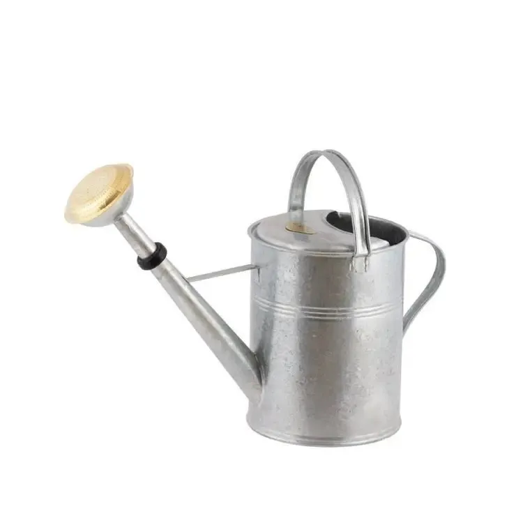 9 Liter- PLINT Watering Can with Removable Sprinkler Head