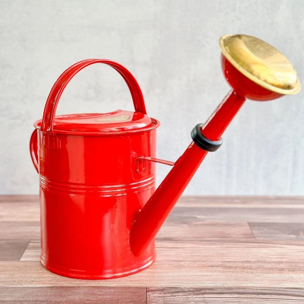 9 Liter- PLINT Watering Can with Removable Sprinkler Head