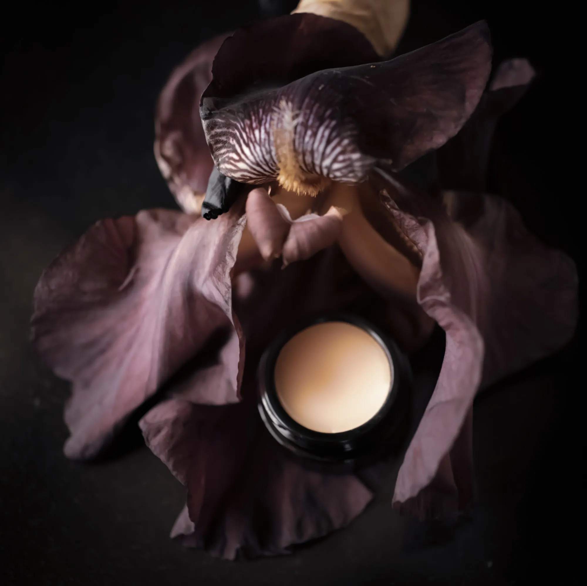 Black Iris - Solid Perfume 9g