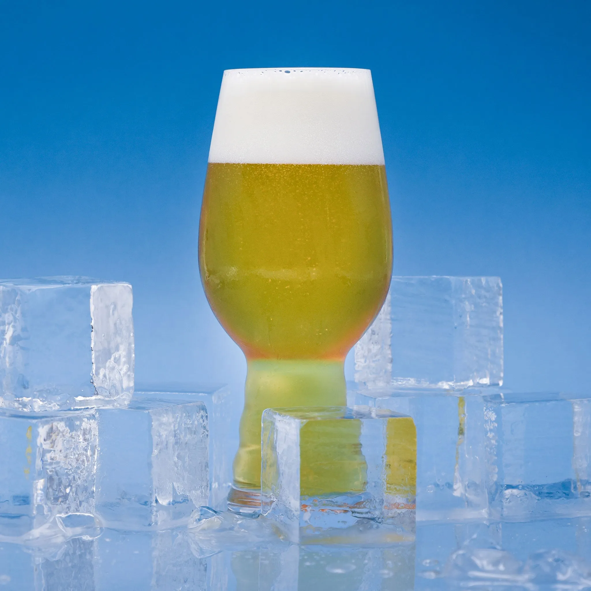 Chill Factor Cold IPA All Grain Recipe Kit