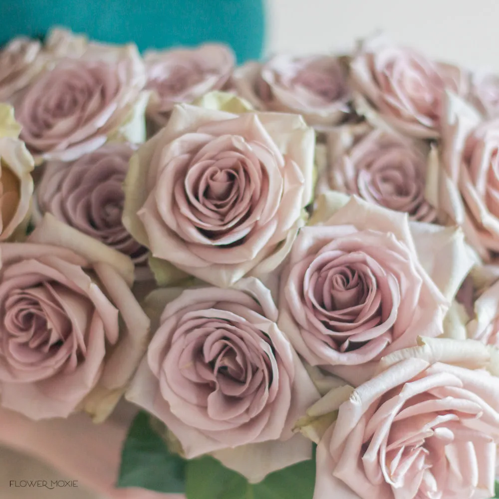 Dusty Lavender Amnesia Rose