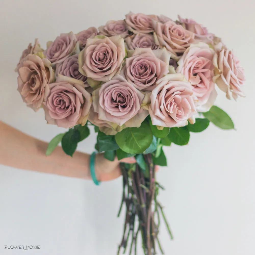 Dusty Lavender Amnesia Rose