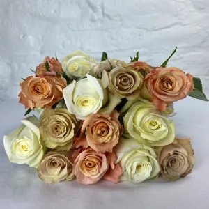 Earthy Rose Mix