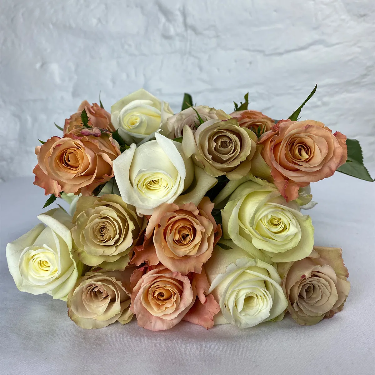 Earthy Rose Mix