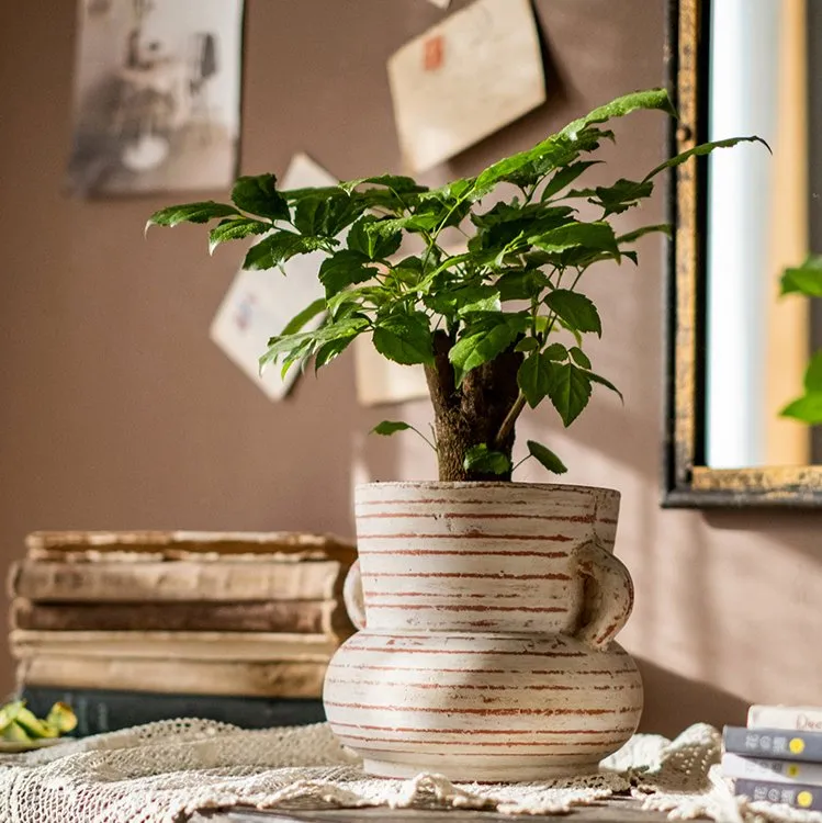 Handmade Terracotta Planter Vase with Handles