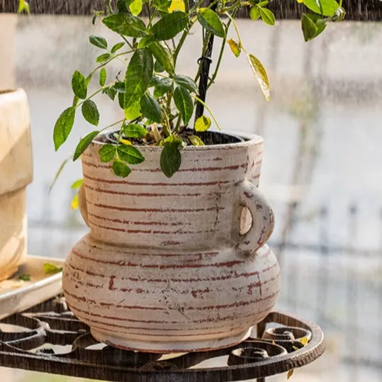 Handmade Terracotta Planter Vase with Handles