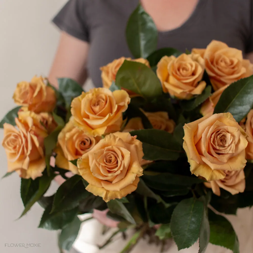 Mustard Gold Combo Rose